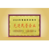 2020年先進(jìn)民營(yíng)企業(yè)